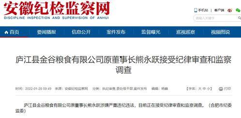 安徽的爆料新闻是什么,揭秘神秘事件背后的真相  第2张