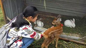 狍子先生爆料视频播放在线观看,独家解析幕后真相  第3张