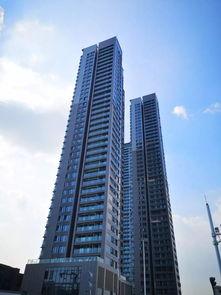 2019前海湾最新爆料,最新爆料揭示惊人真相!” 第3张 2019前海湾最新爆料,最新爆料揭示惊人真相!” 第3张