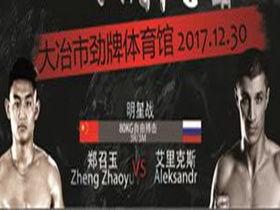 谁要爆料郑召玉的视频大全,真相与争议全解析 第2张 谁要爆料郑召玉的视频大全,真相与争议全解析 第2张